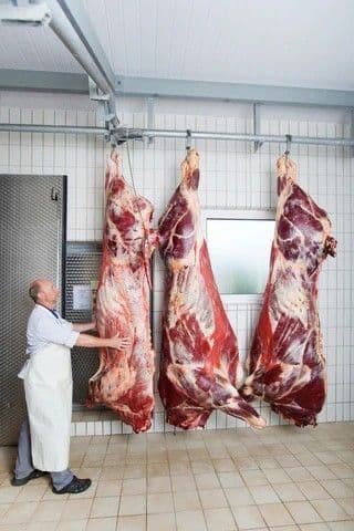 Beef Slaughtering